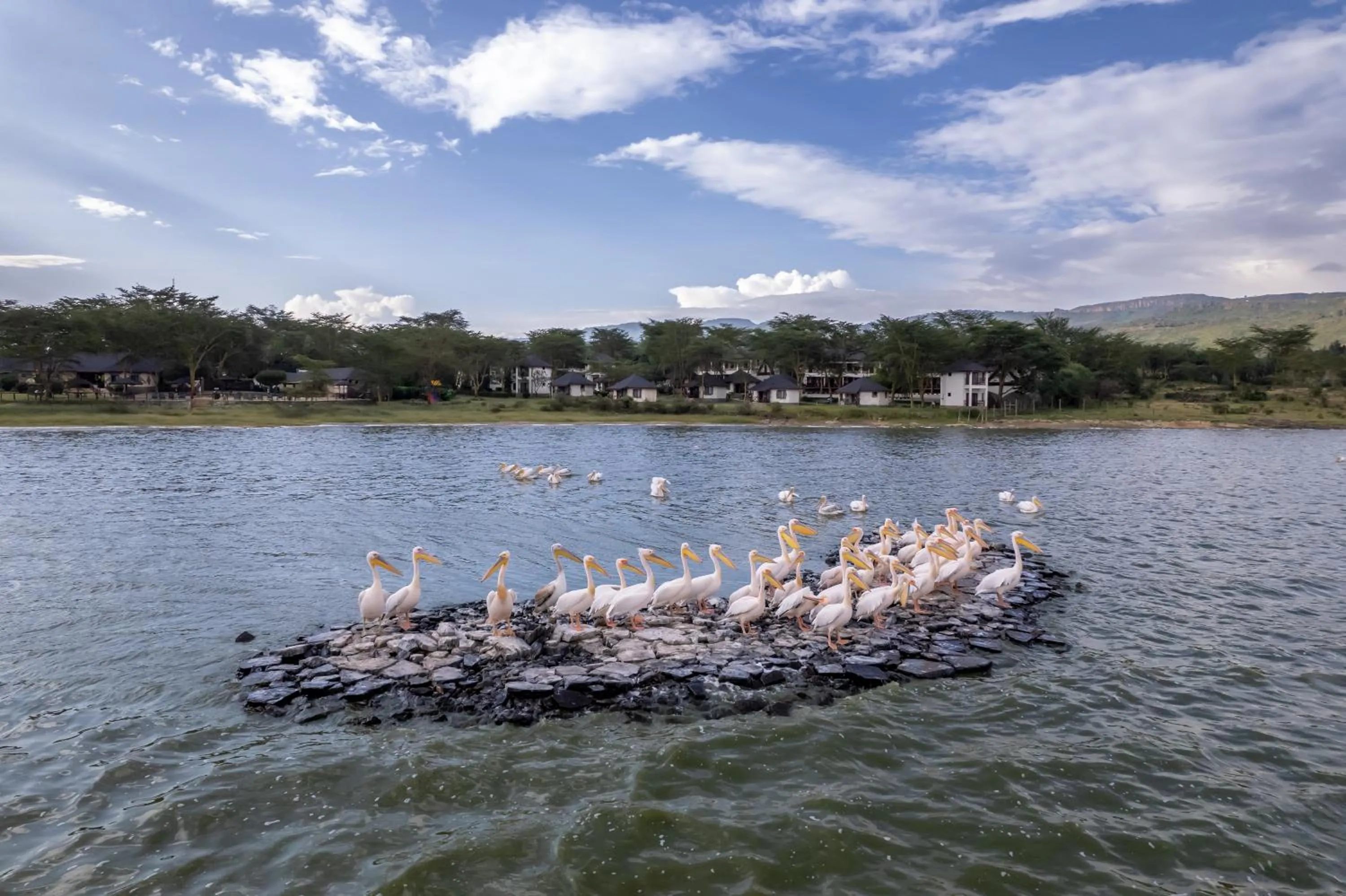 Natural landscape in Sentrim Elementaita Lodge