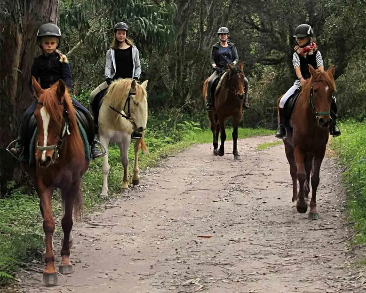 Activities in Quinta Pedagógica da Samoqueirinha - Duna Parque Resorts & Hotels