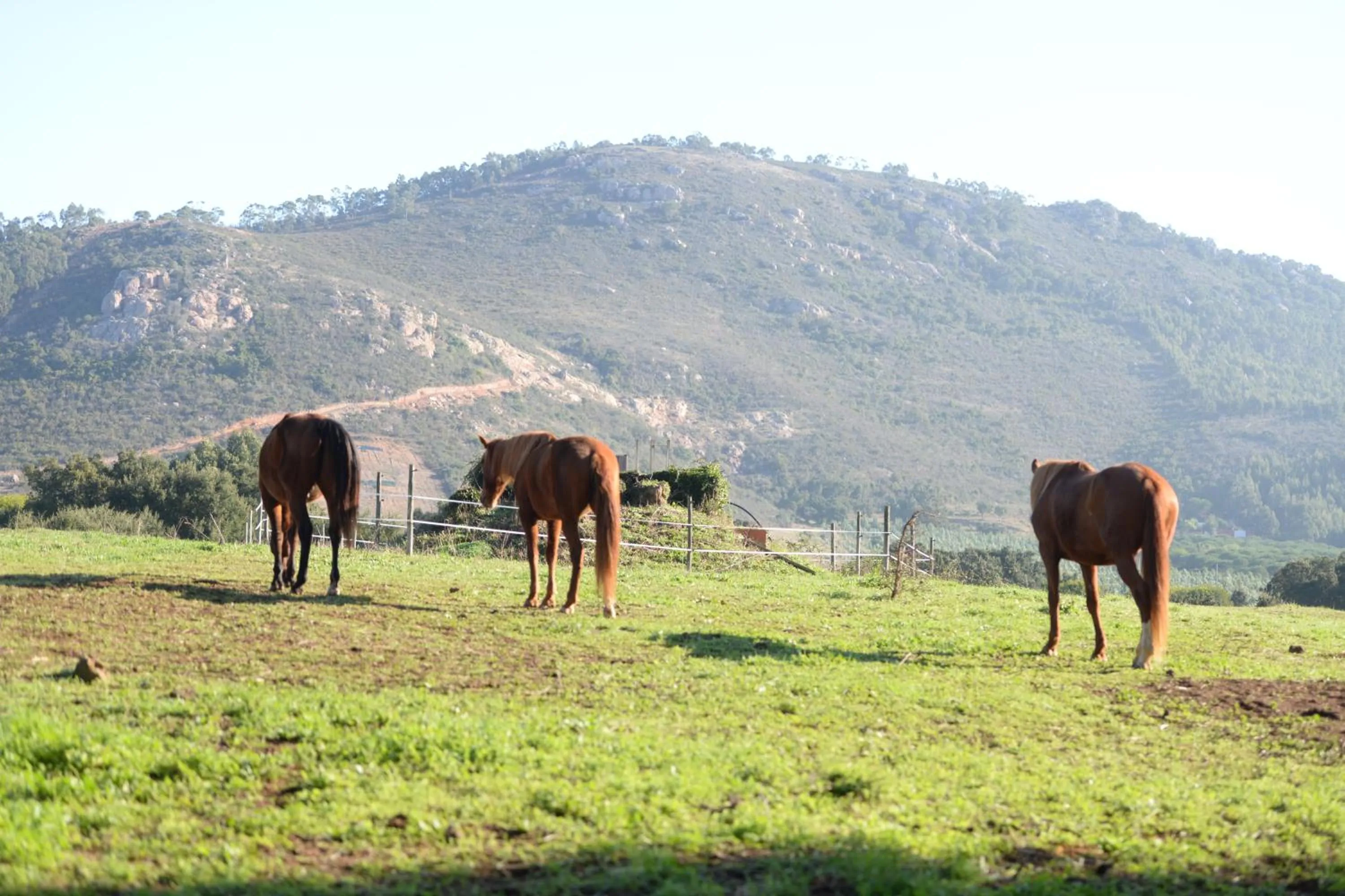 View (from property/room) in Quinta Pedagógica da Samoqueirinha - Duna Parque Resorts & Hotels
