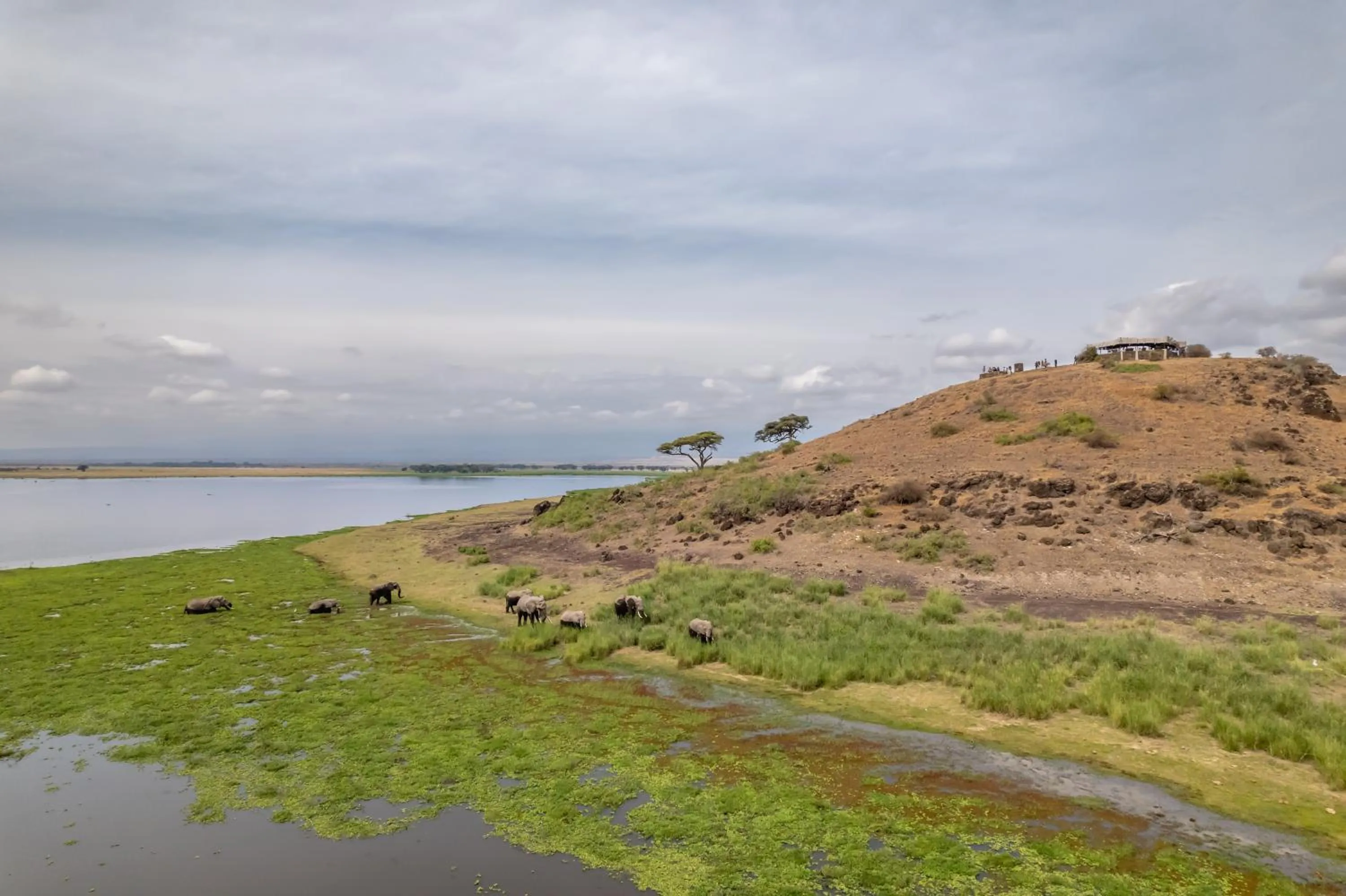 View (from property/room) in Sentrim Amboseli Lodge