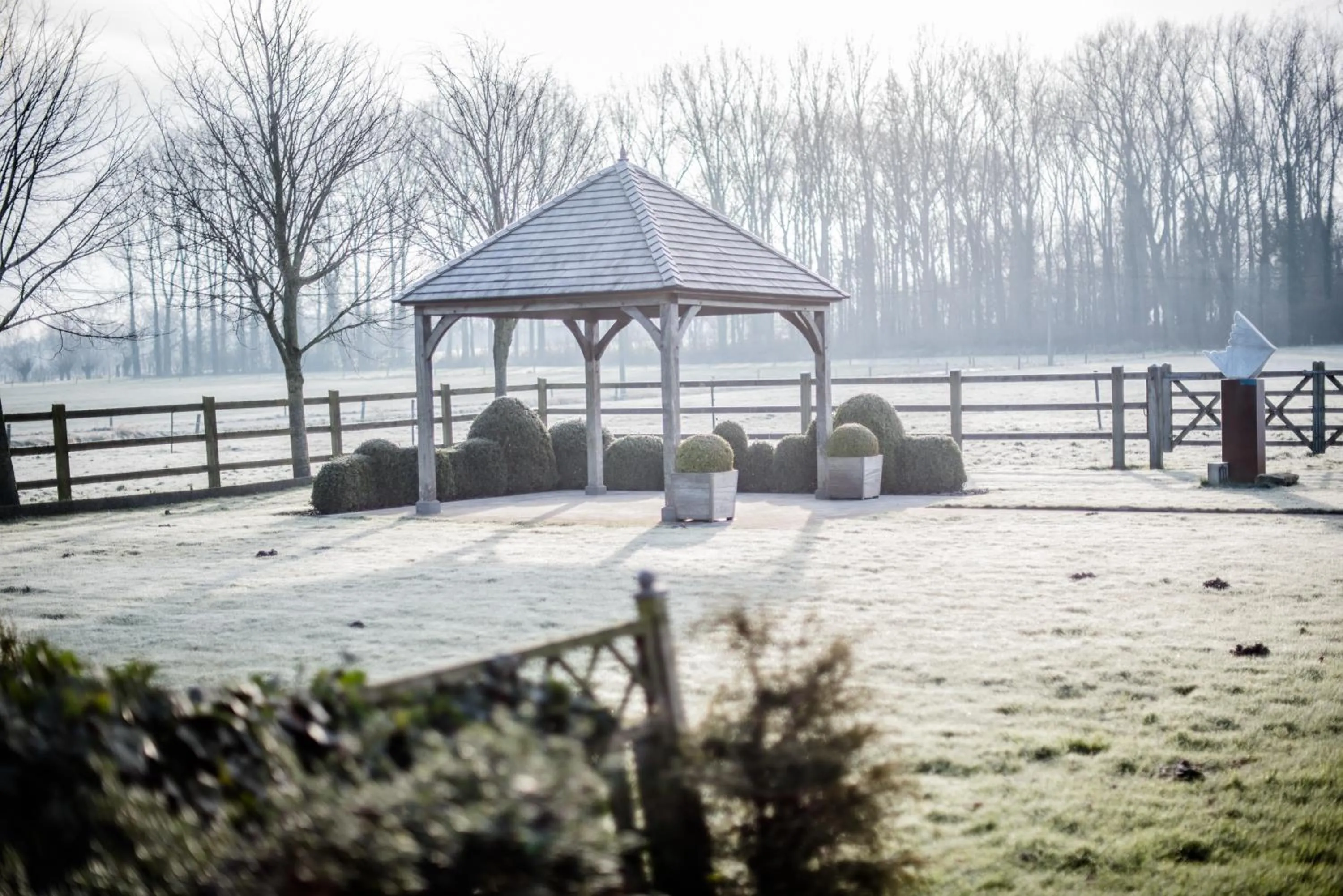 Natural landscape in B&B De Bergvallei