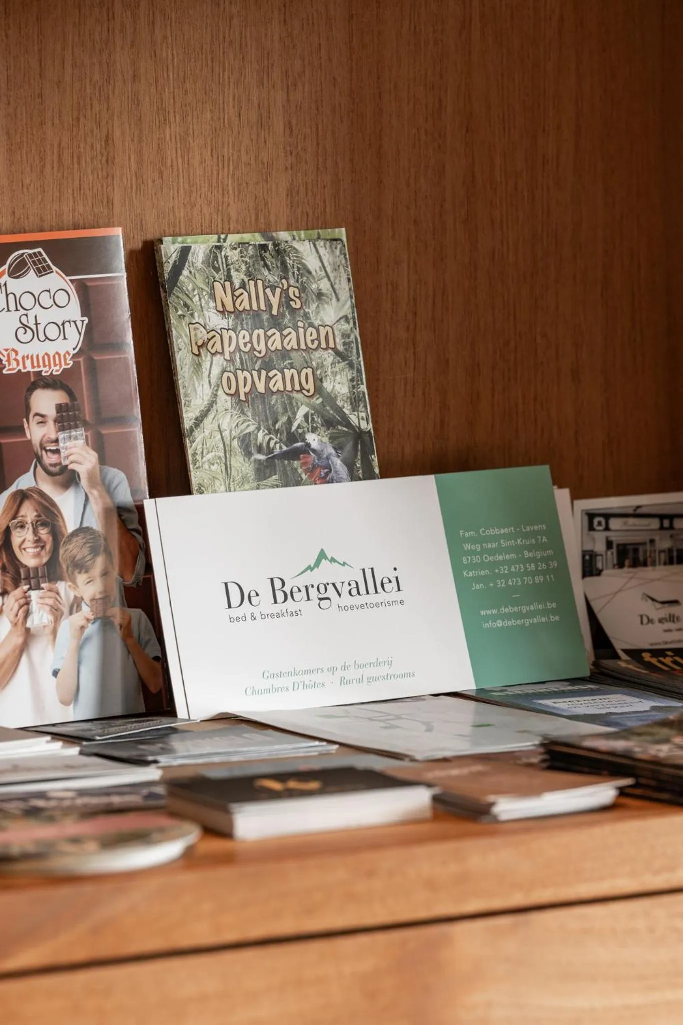 Library in B&B De Bergvallei