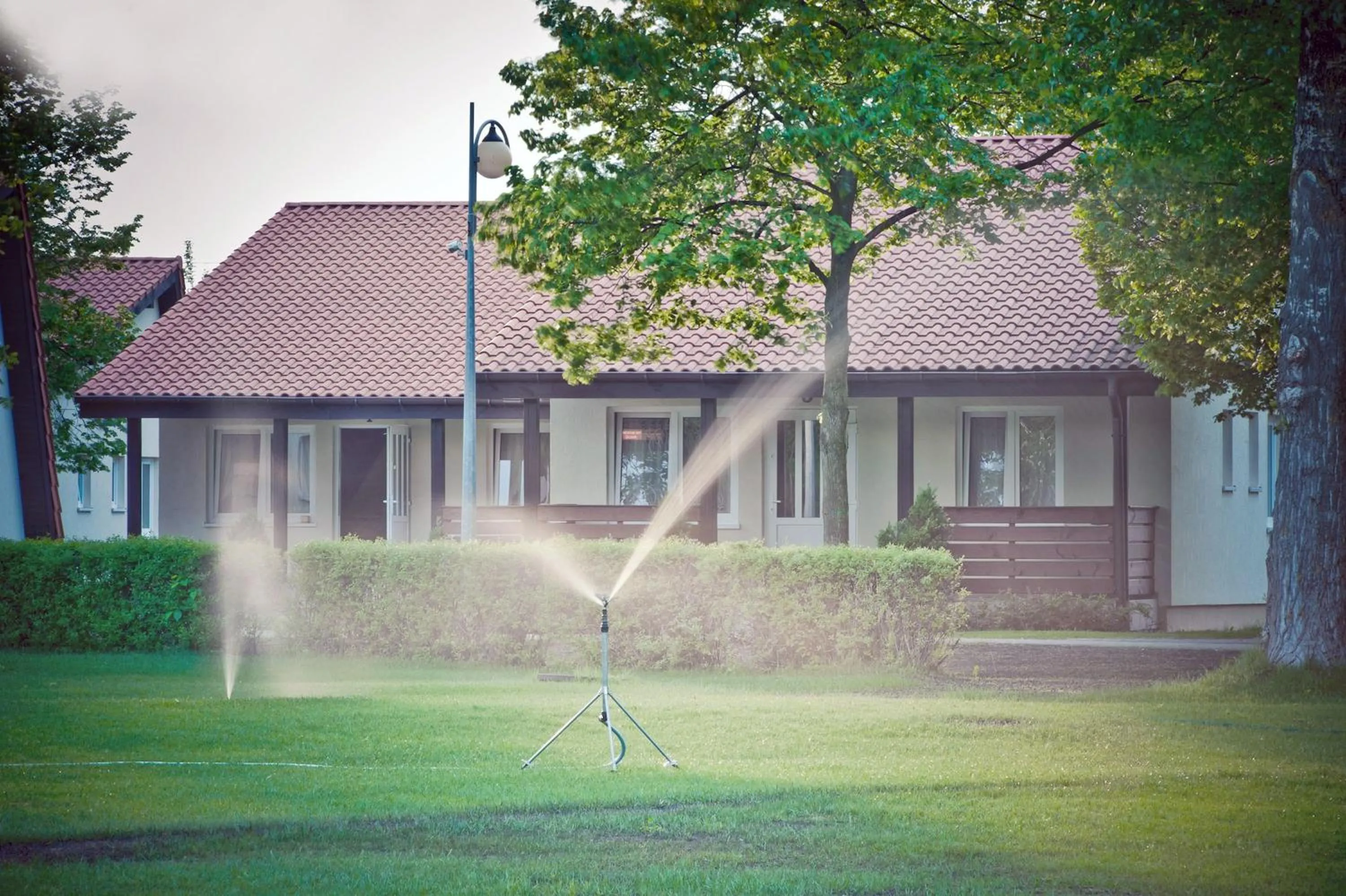 Area and facilities in Hotel Wityng