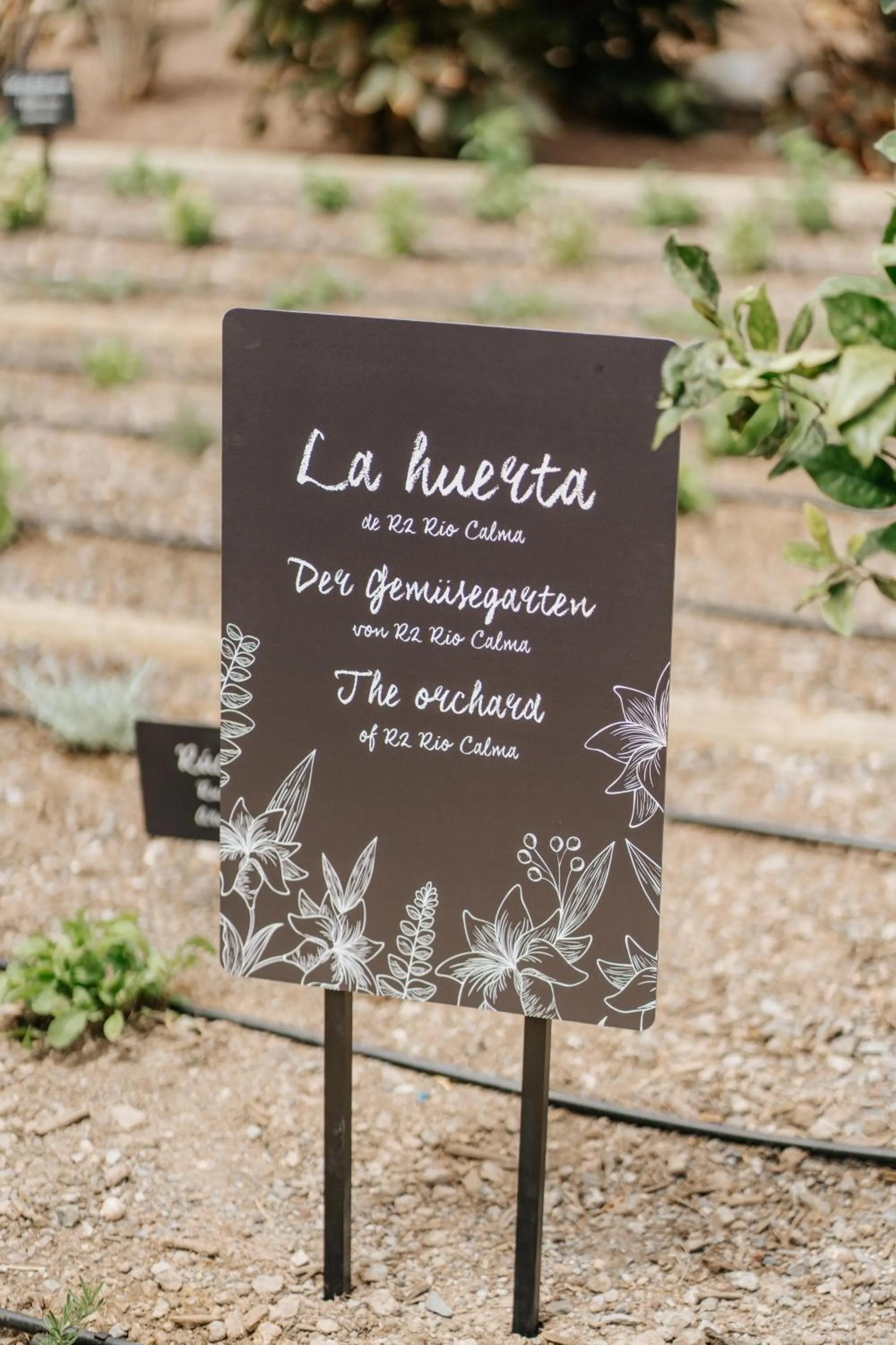 Area and facilities in R2 Rio Calma