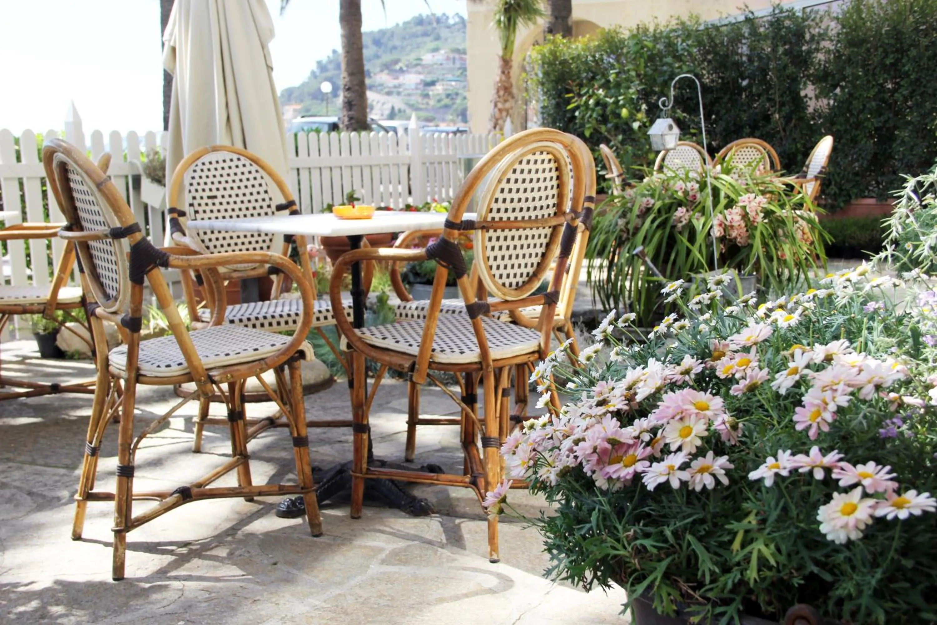 Garden in Hotel Miramare