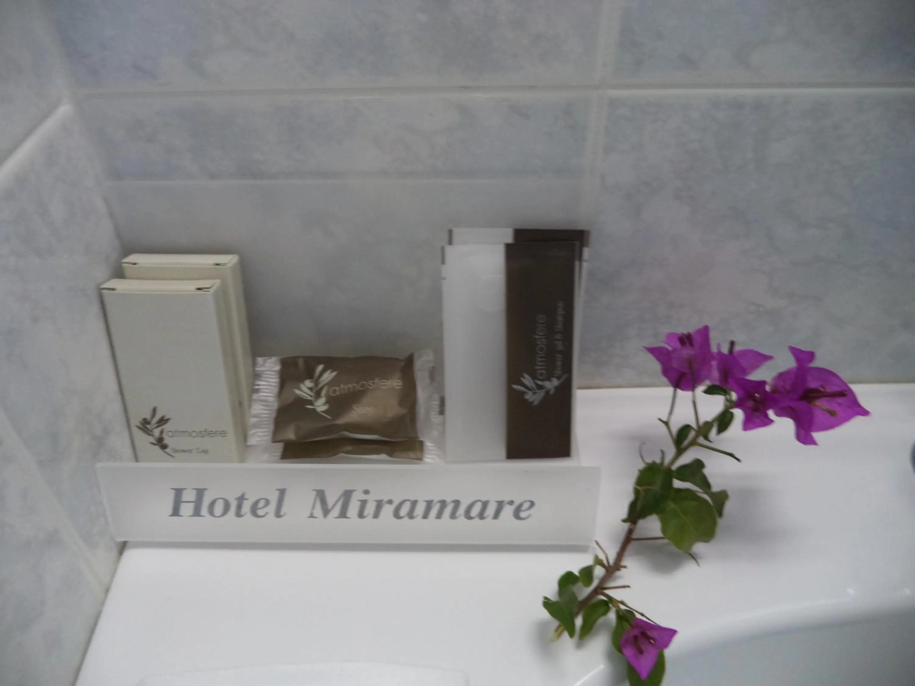 Bathroom in Hotel Miramare
