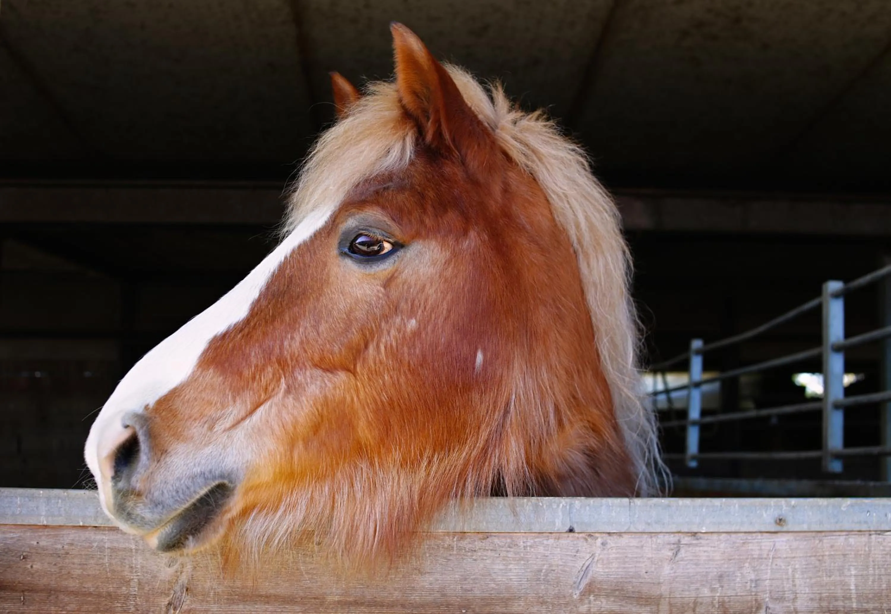 Activities in Due Ponti Village