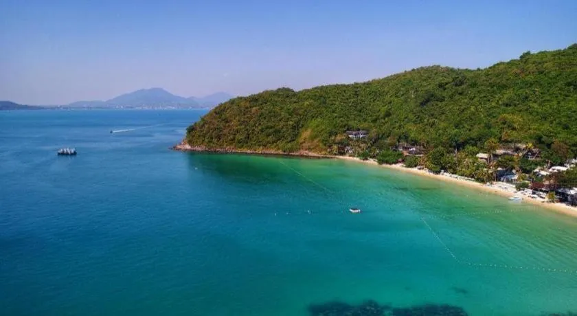 Greenplace-Samed Seahorse