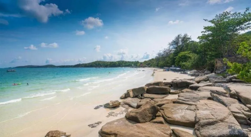 Greenplace-Samed Seahorse