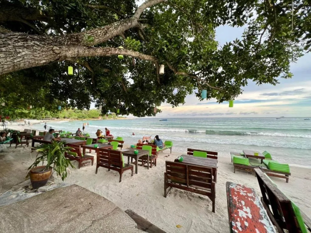 Greenplace-Samed Seahorse