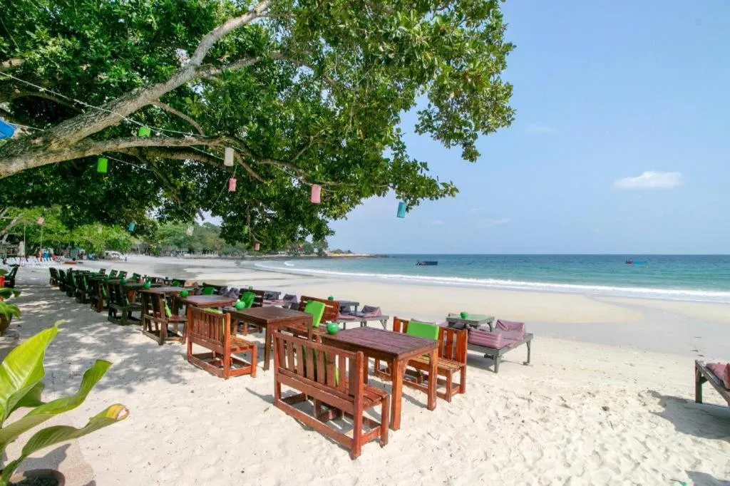 Greenplace-Samed Seahorse