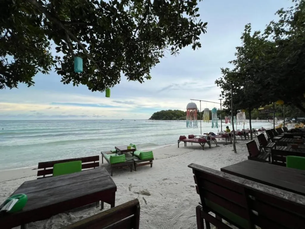 Greenplace-Samed Seahorse