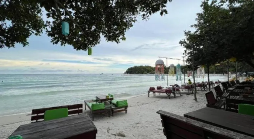 Greenplace-Samed Seahorse