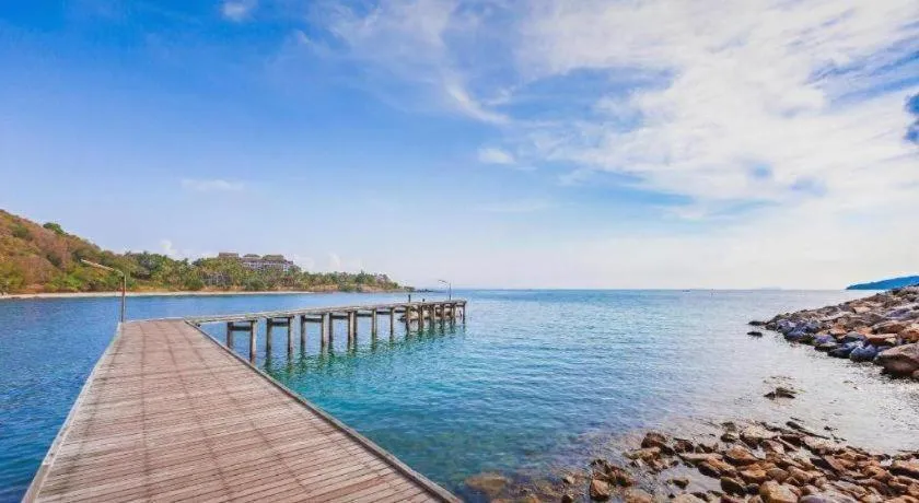 Greenplace-Samed Seahorse