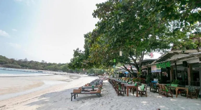 Greenplace-Samed Seahorse