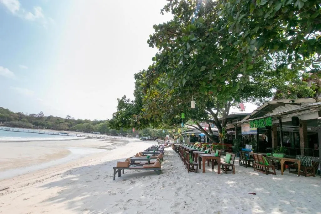 Greenplace-Samed Seahorse