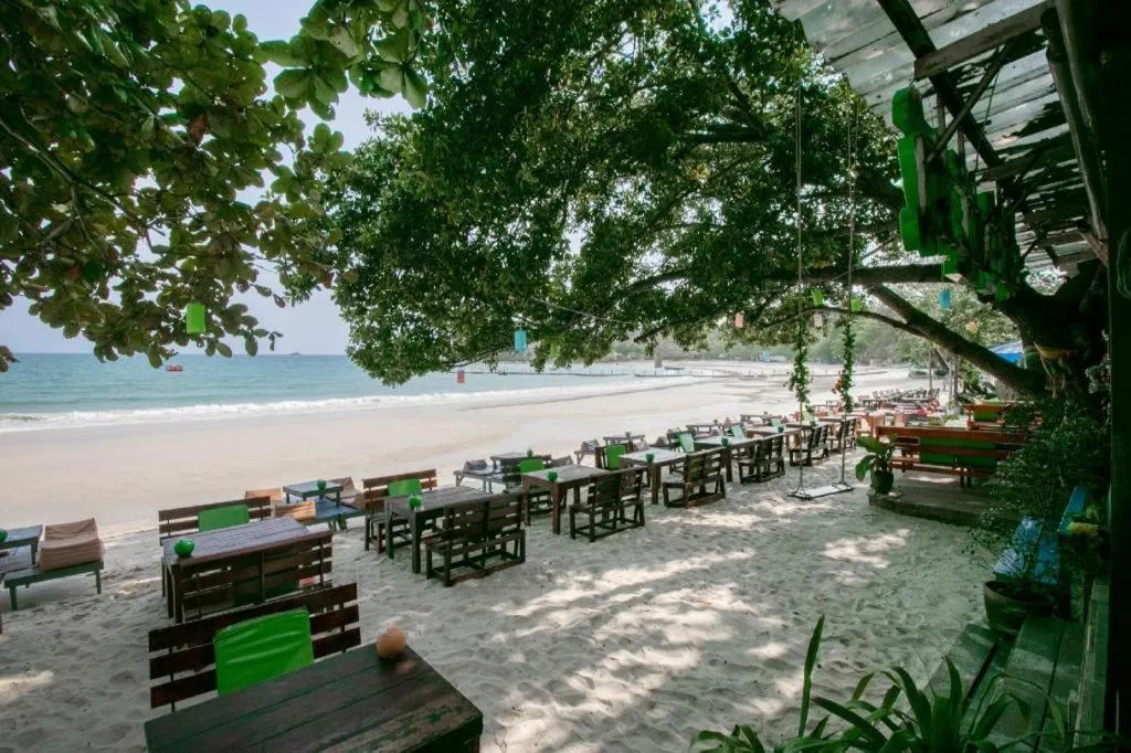 Greenplace-Samed Seahorse