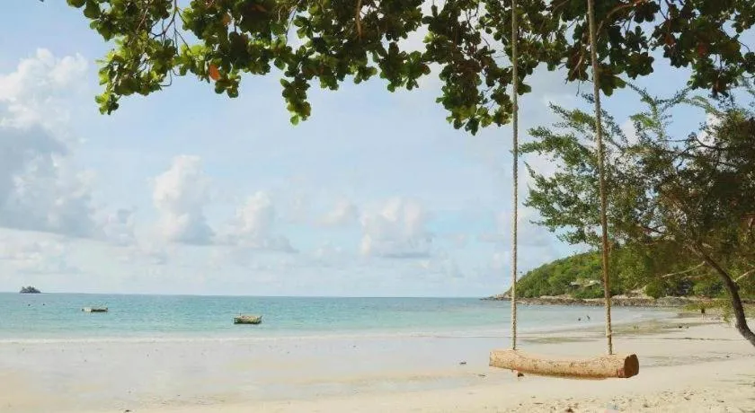 Greenplace-Samed Seahorse