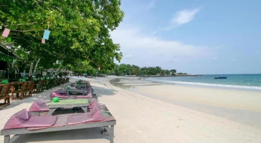 Greenplace-Samed Seahorse