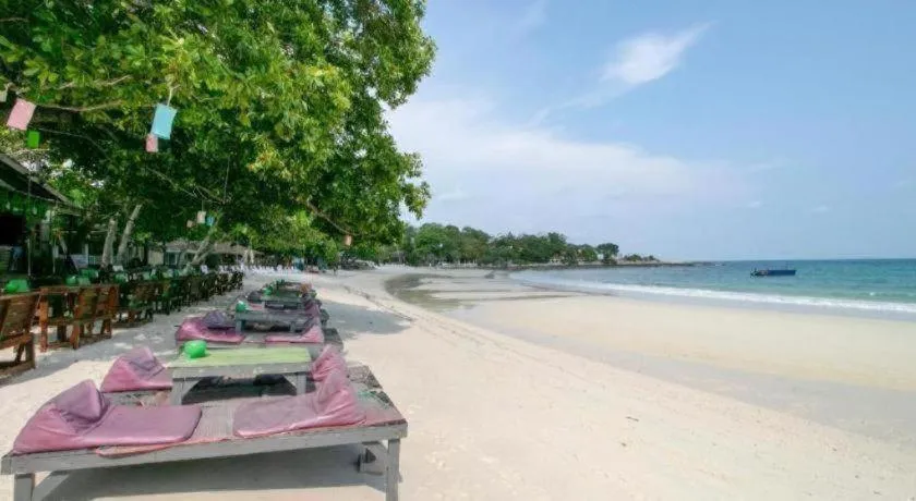 Greenplace-Samed Seahorse