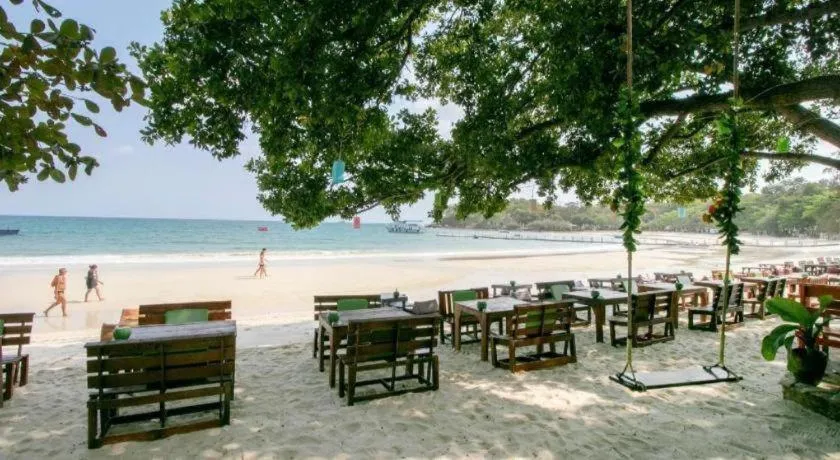 Greenplace-Samed Seahorse