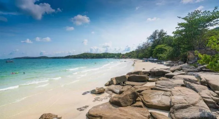 Greenplace-Samed Seahorse