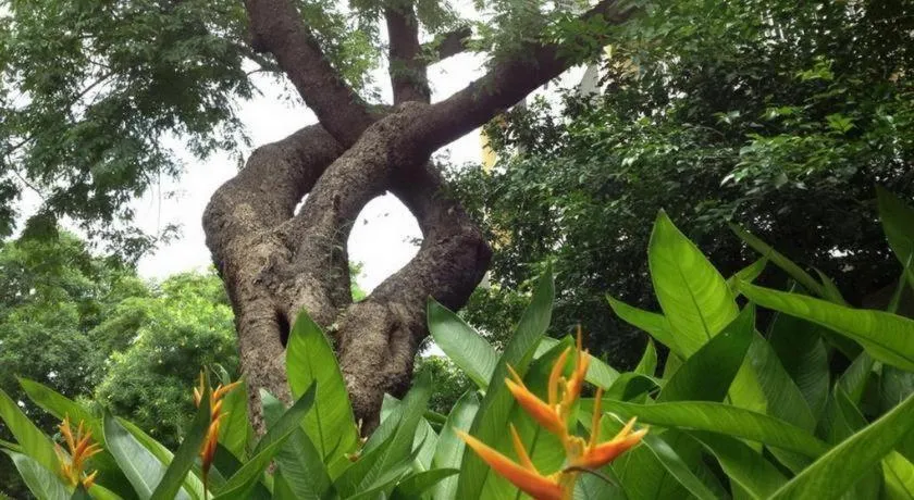 Phet Cha-am Plaza&Resort