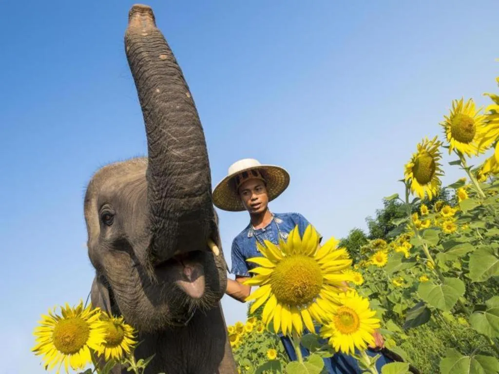 Baan Souchada Resort & Spa