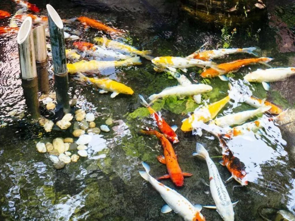 Baan Souchada Resort & Spa