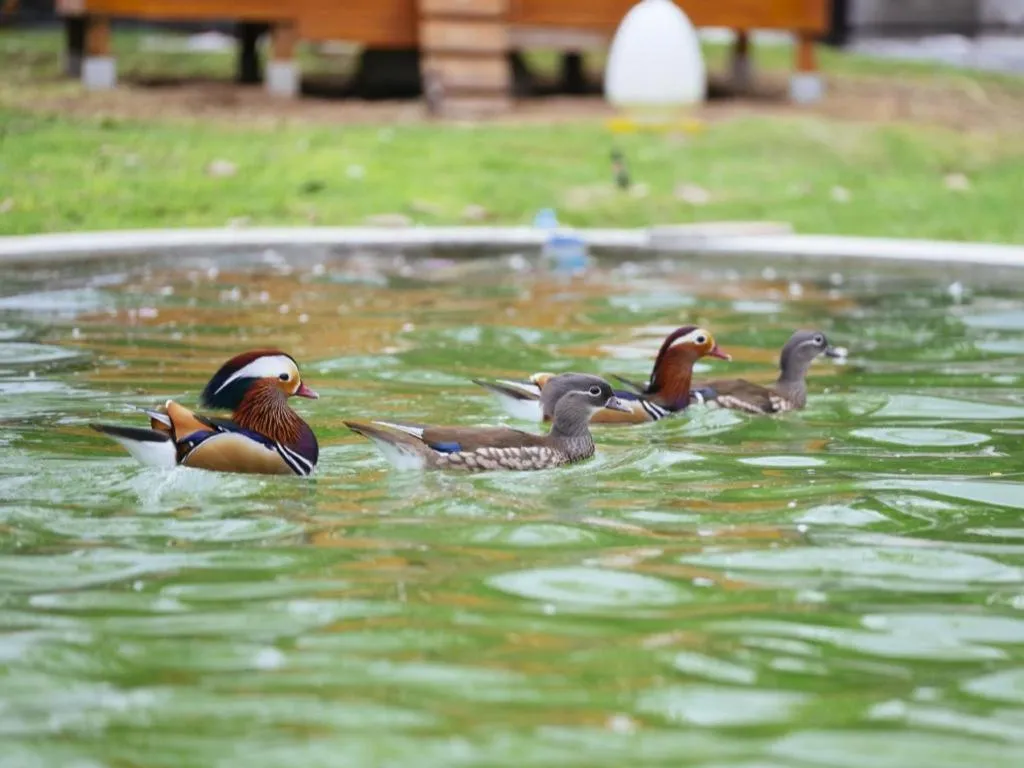 Baan Souchada Resort & Spa