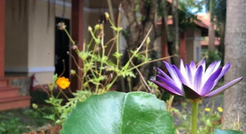 Castaways Resort Phu Quoc