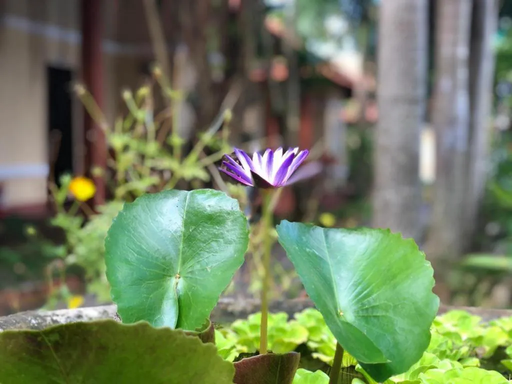 Castaways Resort Phu Quoc