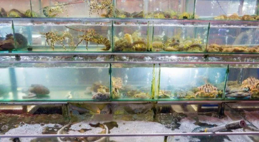 Castaways Resort Phu Quoc