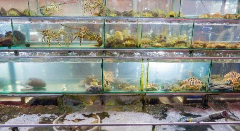 Castaways Resort Phu Quoc