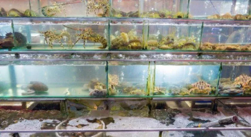 Castaways Resort Phu Quoc