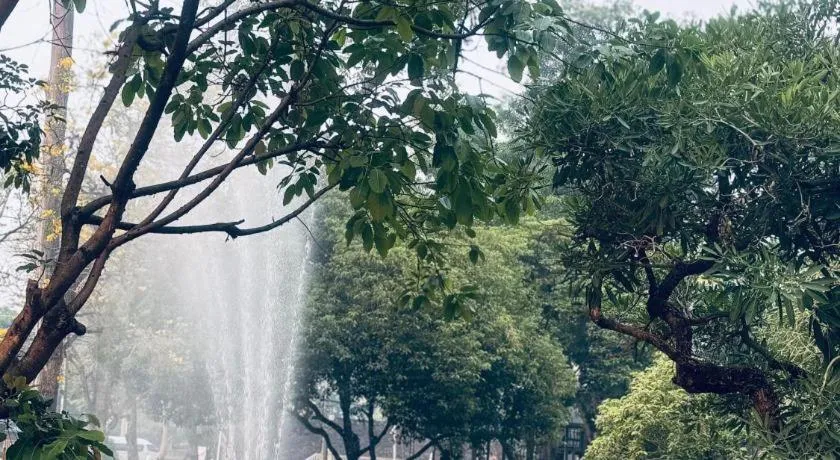 Chiang Mai Panda Hostel