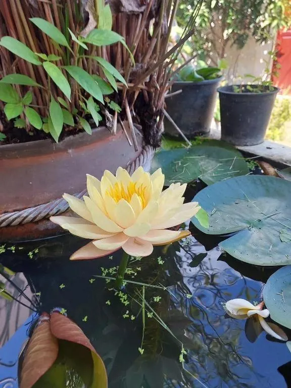 Chiang Mai Panda Hostel