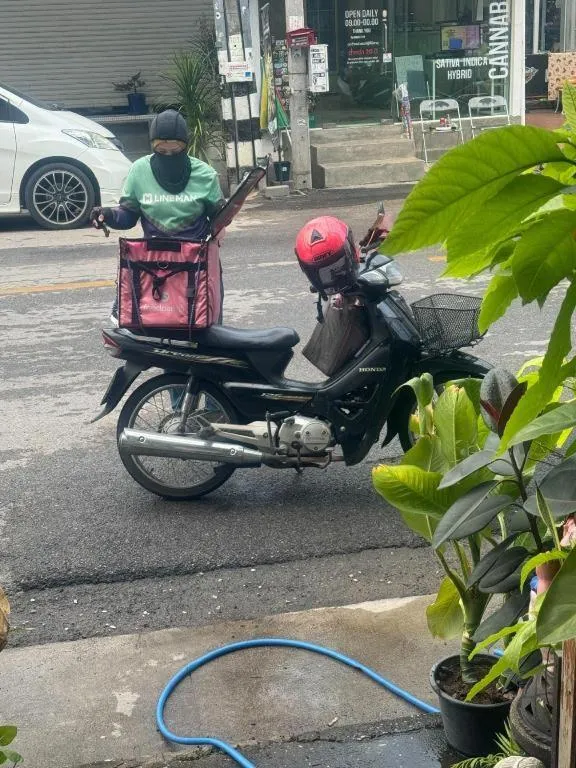 Chiang Mai Panda Hostel
