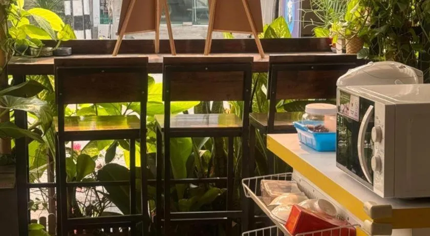 Chiang Mai Panda Hostel