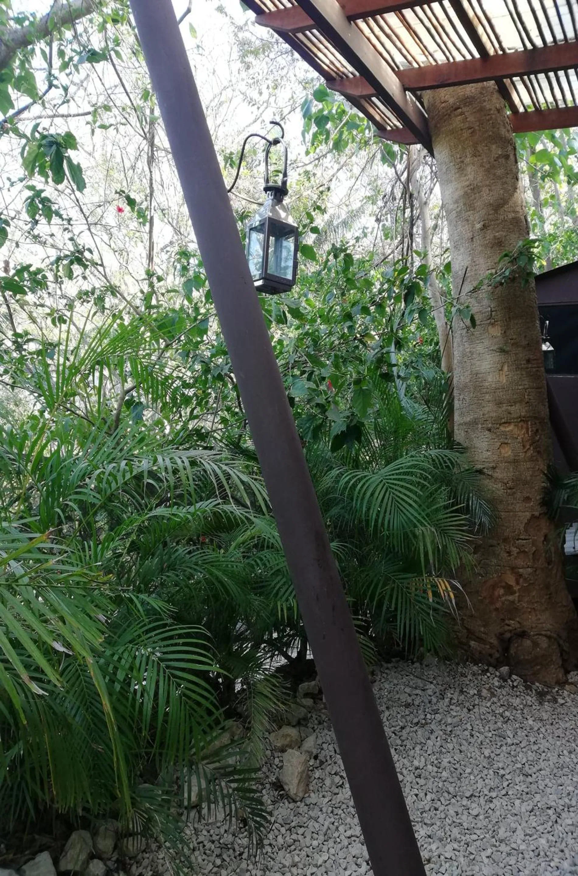 Garden in Green Sanctuary Hotel