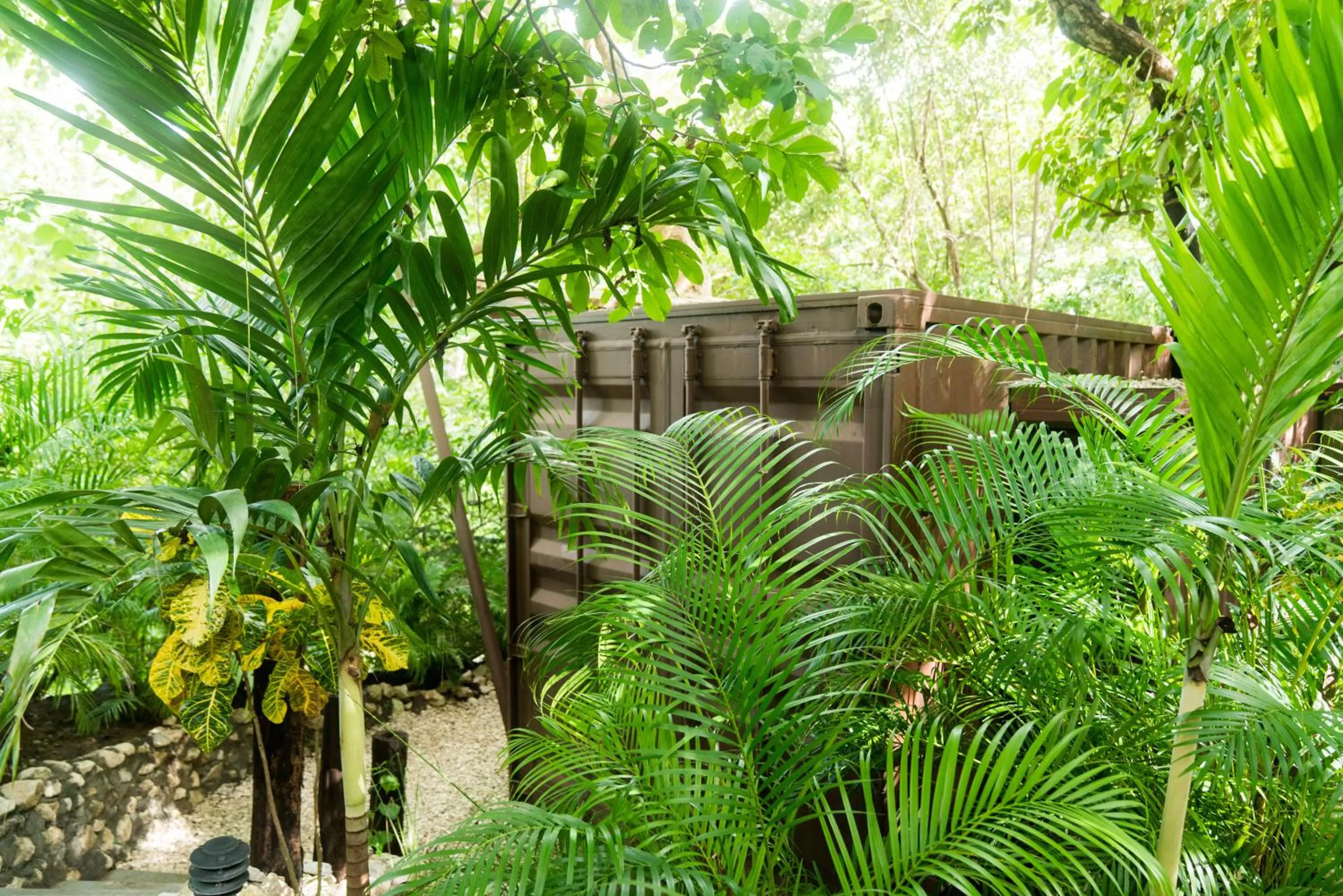 Natural landscape in Green Sanctuary Hotel