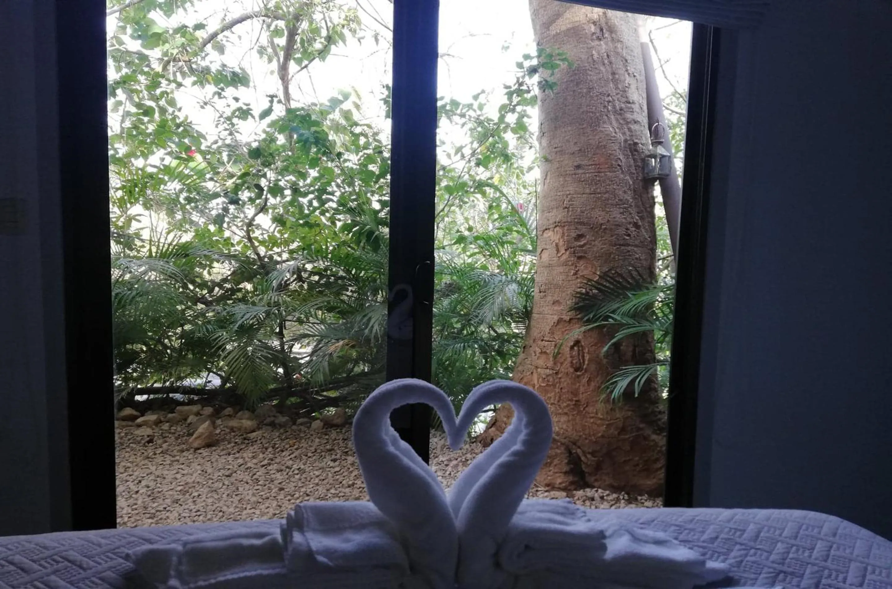 Garden in Green Sanctuary Hotel