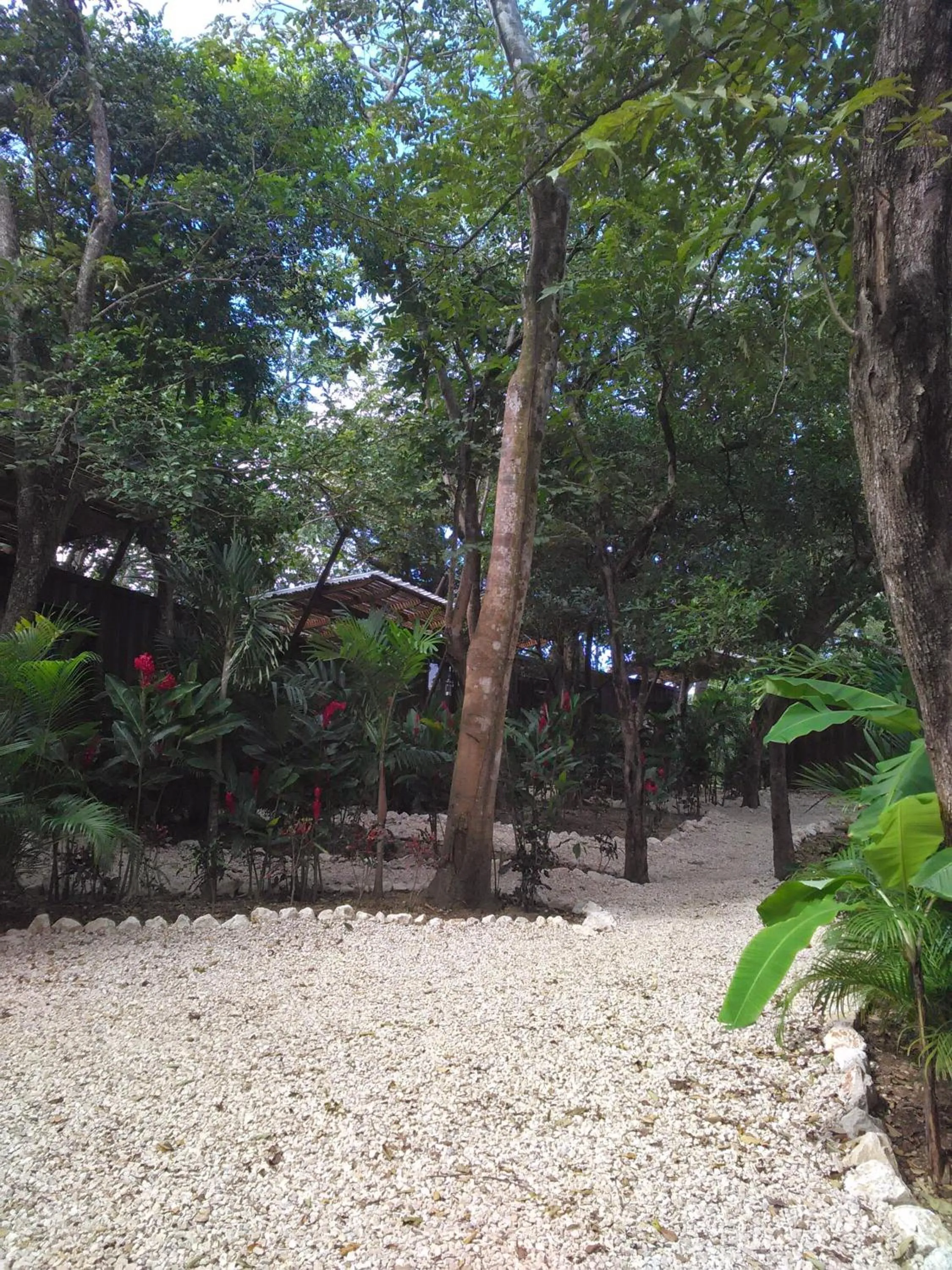 Decorative detail in Green Sanctuary Hotel