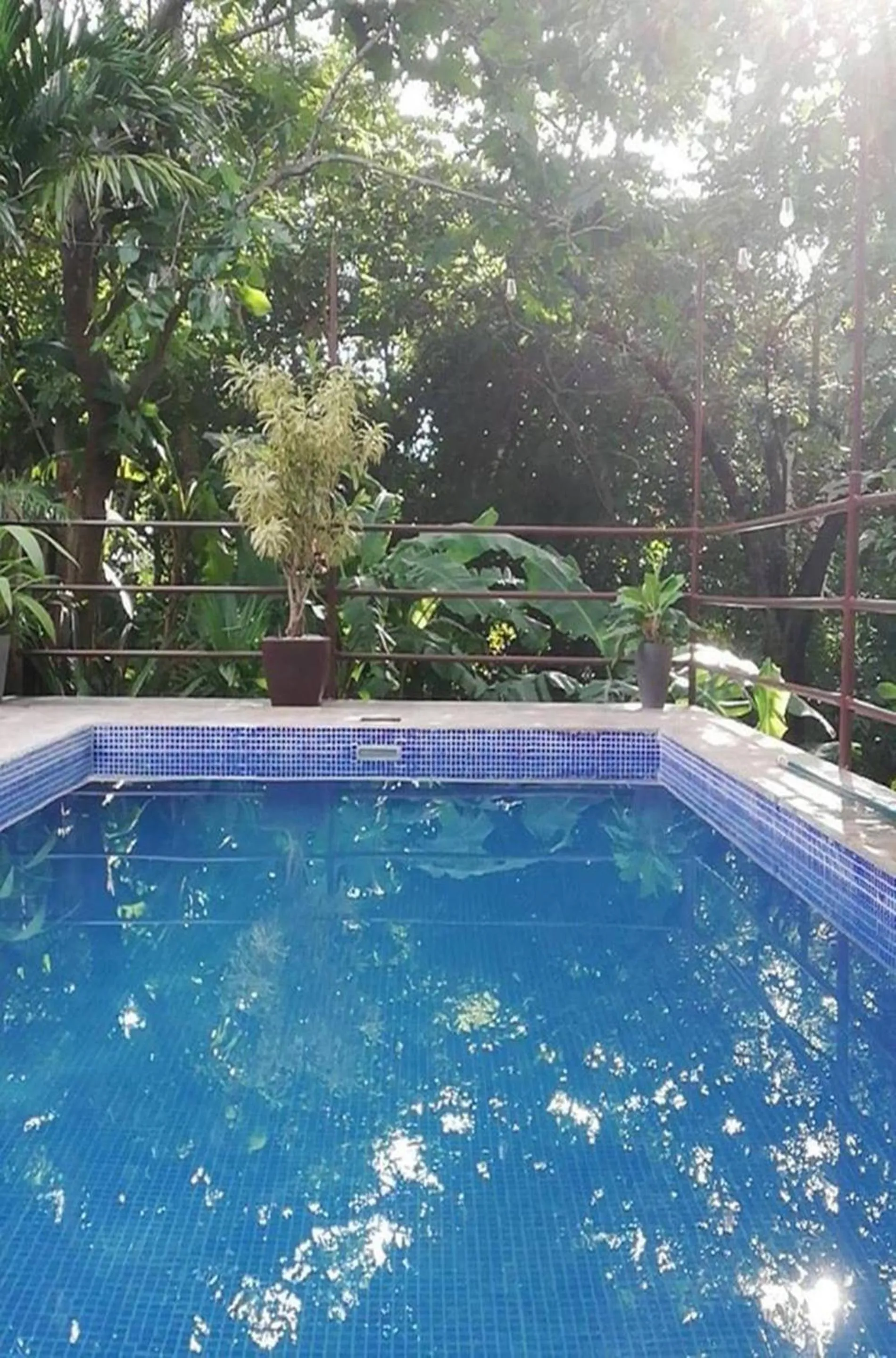 Winter in Green Sanctuary Hotel