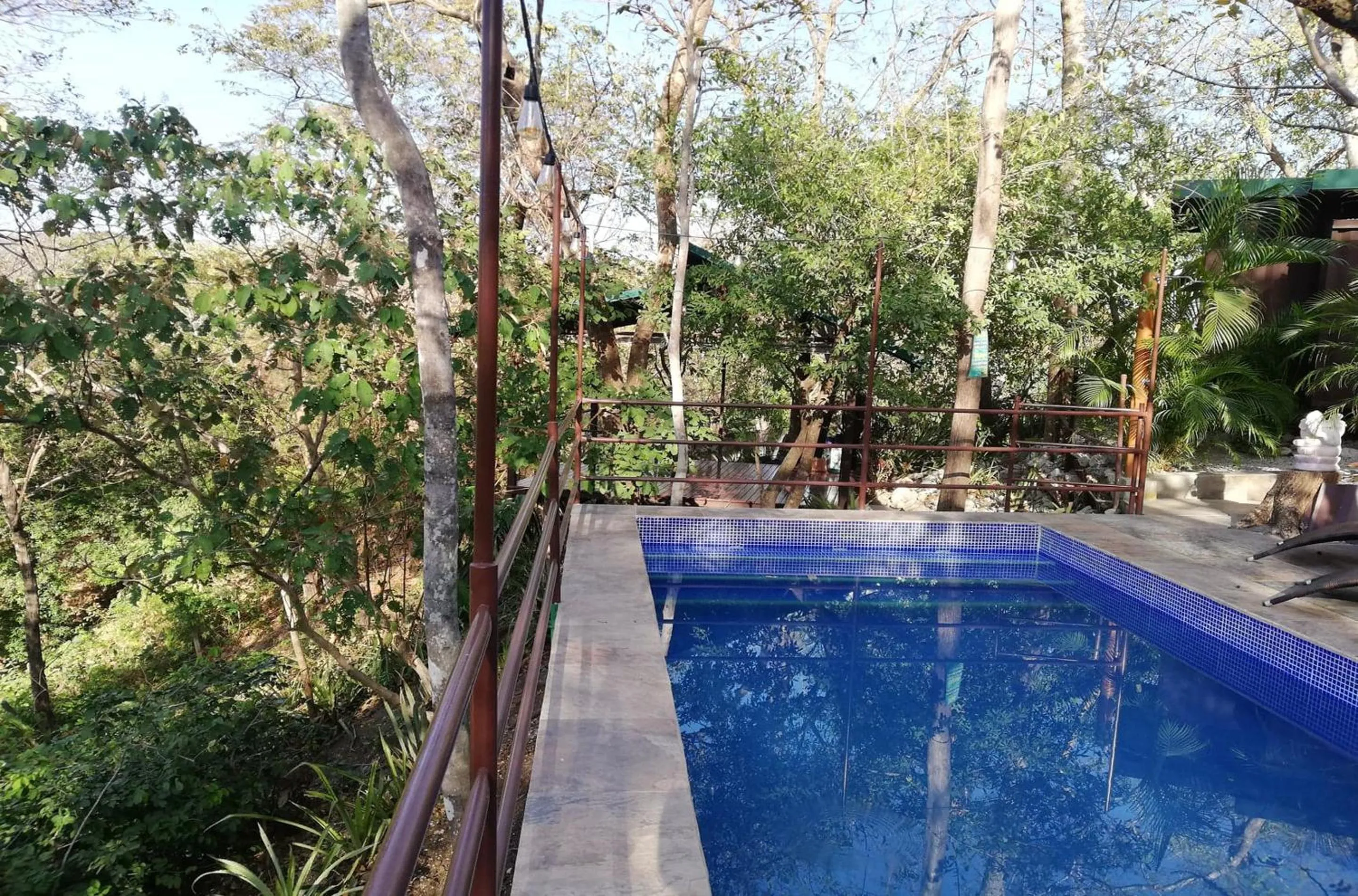 Natural landscape in Green Sanctuary Hotel