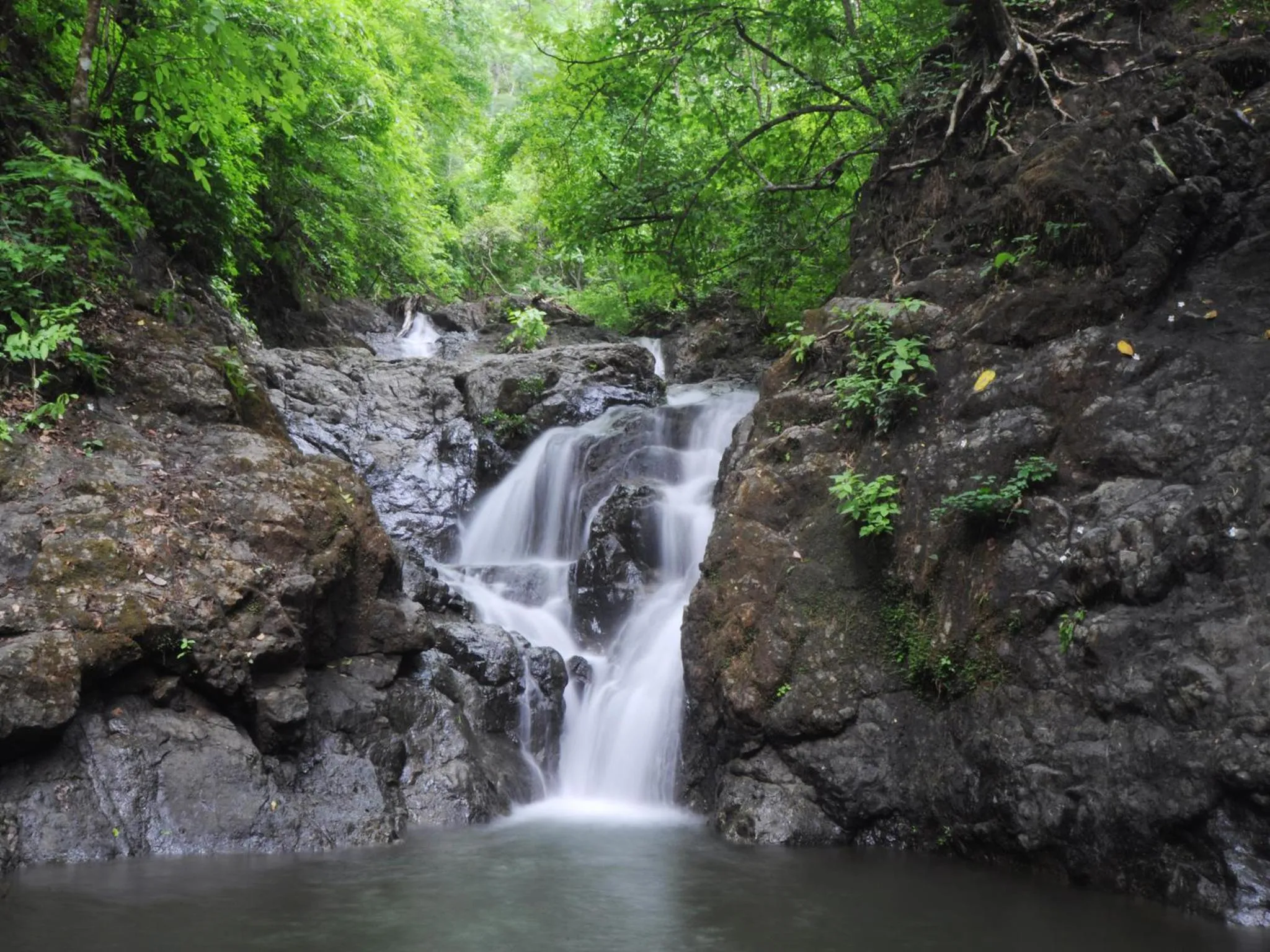 Area and facilities in Green Sanctuary Hotel