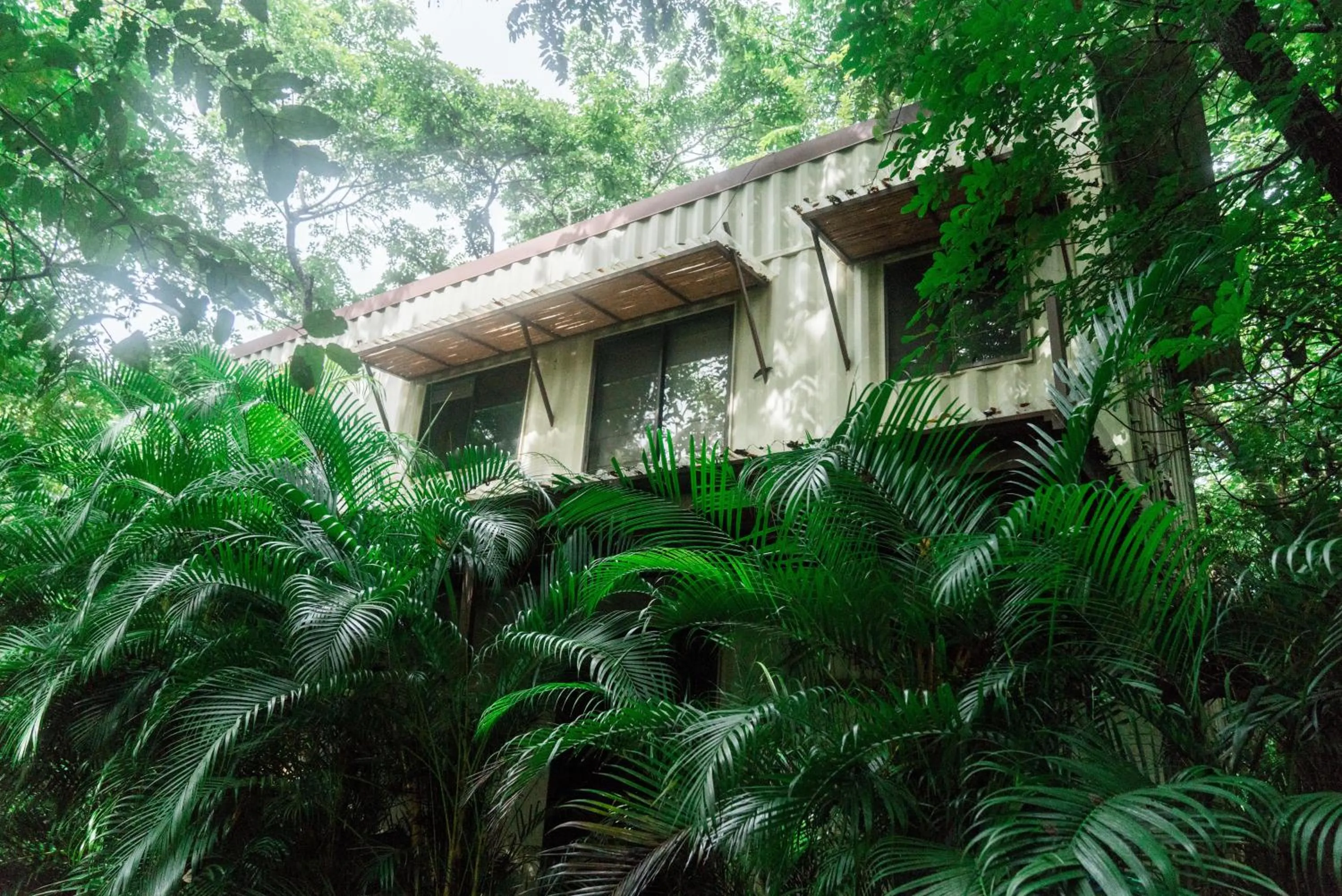 Natural landscape in Green Sanctuary Hotel