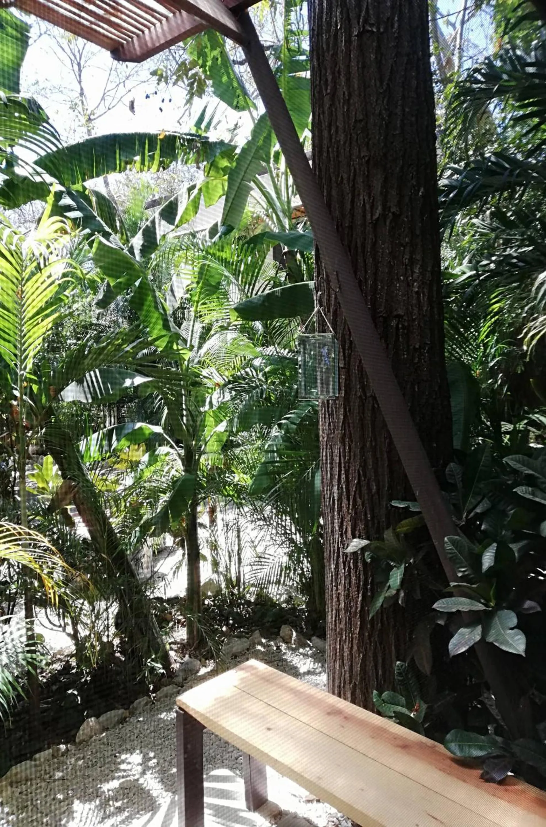 Patio in Green Sanctuary Hotel