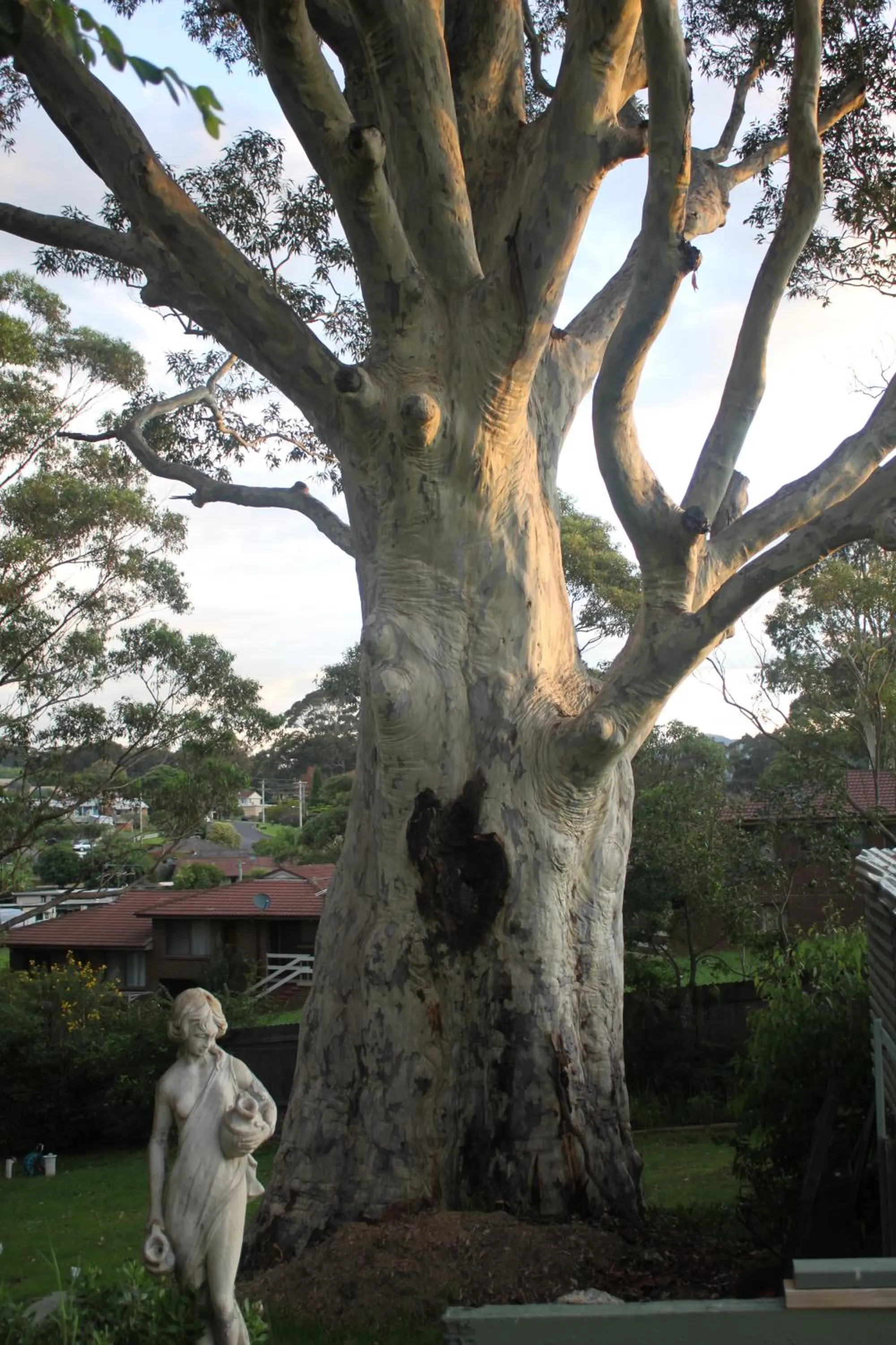 Property building in The Tree Motel