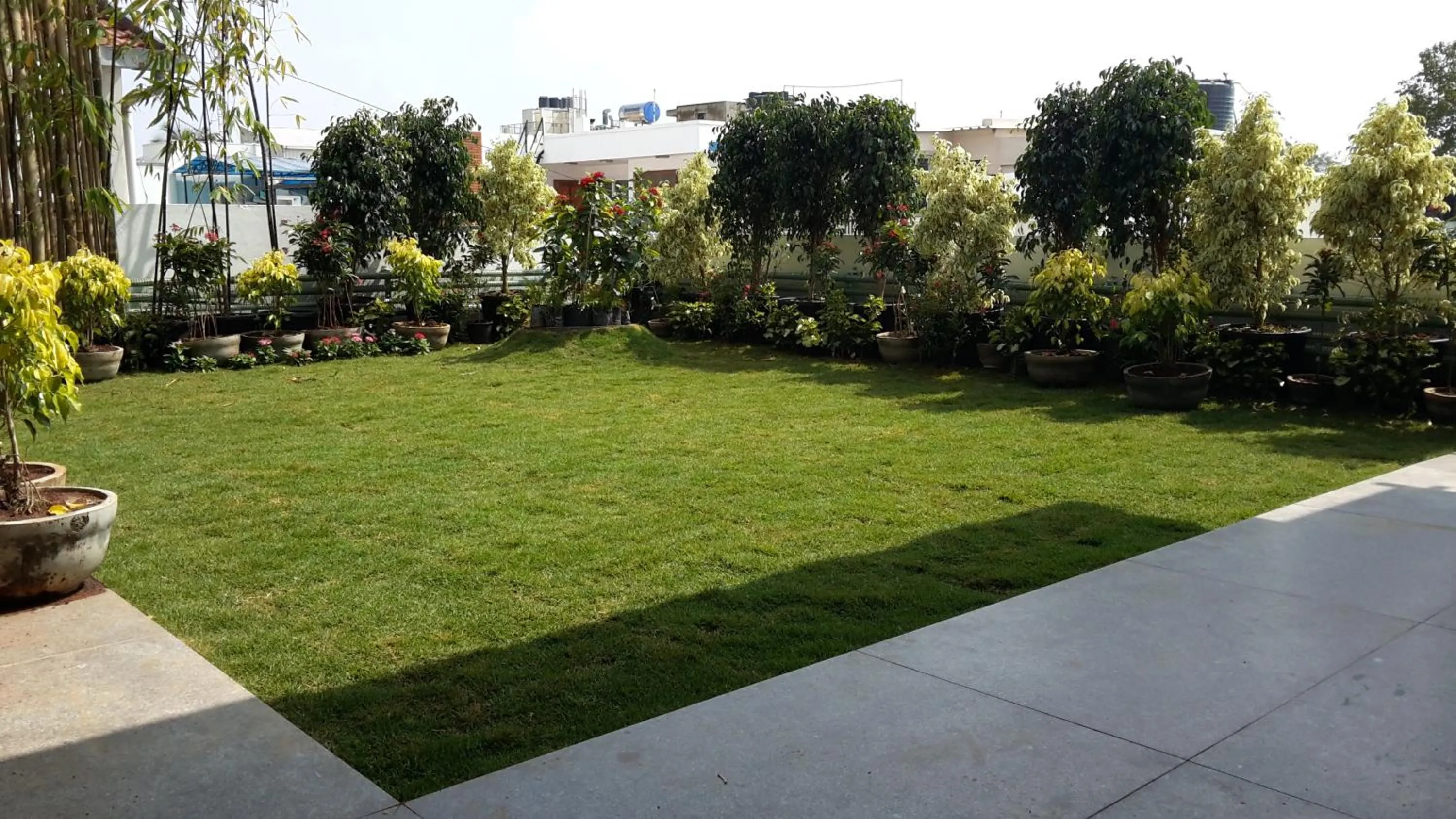 Garden in Ixora Suites